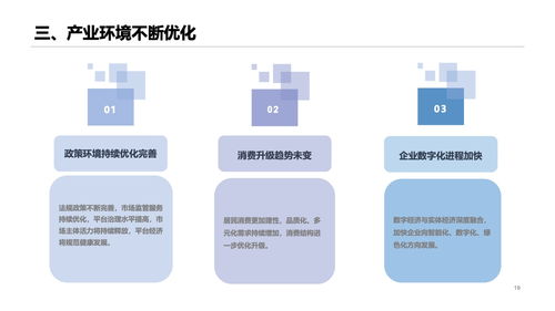 商务部 2022年中国网络零售市场发展报告